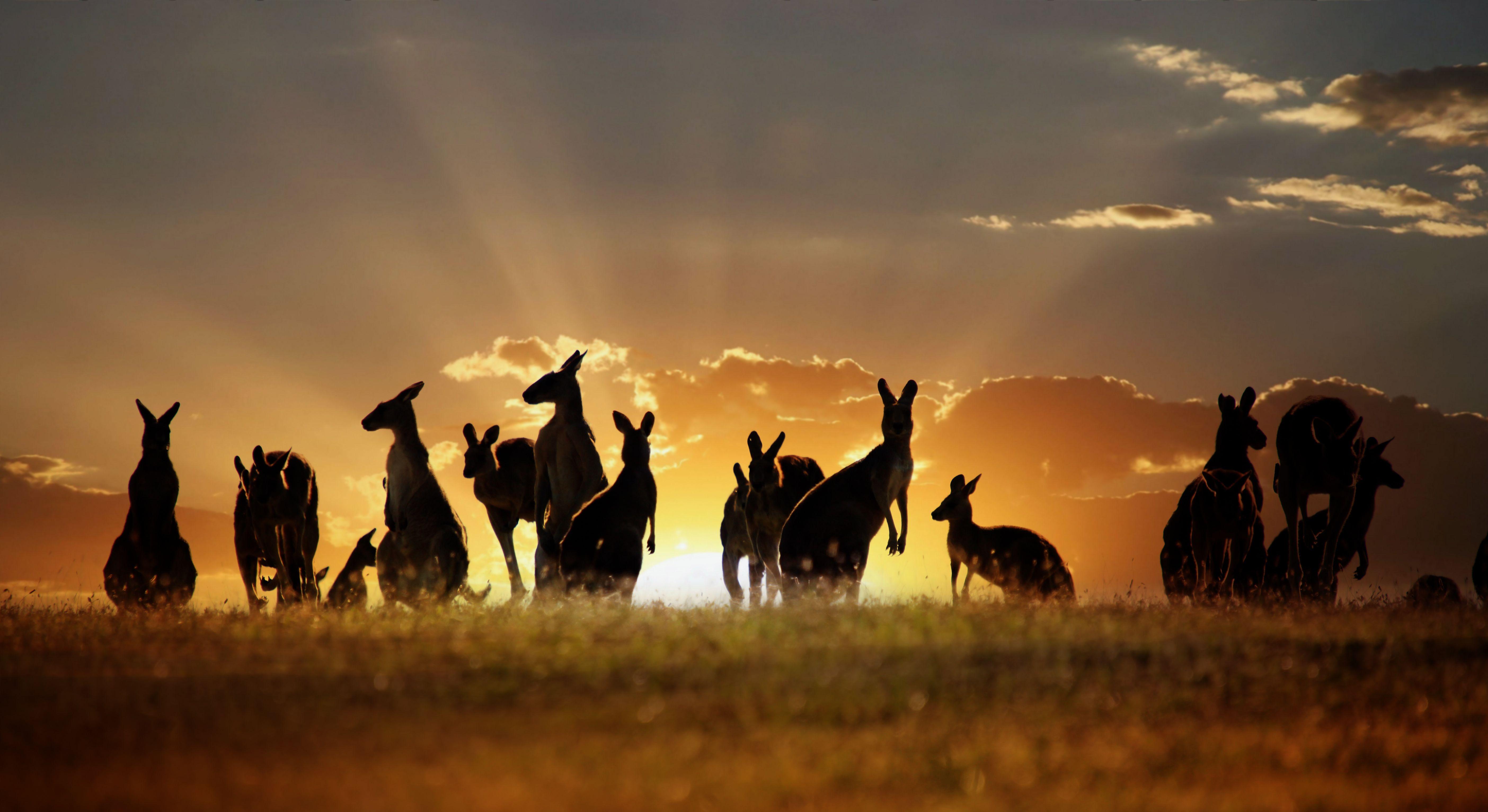 AUSTRALIA